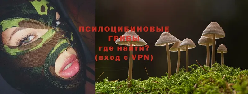 Галлюциногенные грибы Psilocybe  цена наркотик  MEGA зеркало  Шарья 